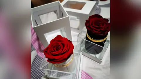 Elegant preserved red rose in a luxury clear gift box on a white patterned surface.