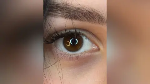 Close-up of a brown eye with long dark eyelashes and groomed eyebrows for natural beauty and makeup inspiration.