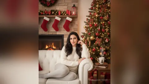 TammaraWonder — Christmas in home