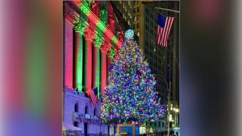 Festive illuminated Christmas tree glowing in front of a classic building at night in a city setting.