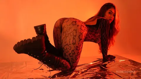 RosieThomas — RosieThomas poses on all fours wearing a black snakeskin print bodysuit and black boots against a warm orange background.