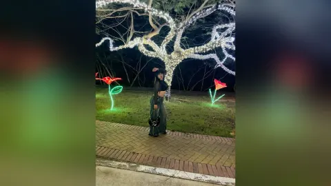 CarolinaGomees — 🎆