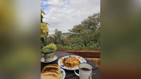 Breakfast spread with fresh bread and coffee on a wooden table overlooking a lush green forest view.