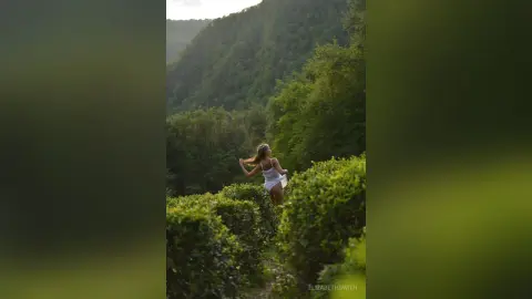 Dreamy woman in a white summer dress walking through a lush green forest valley at sunset.