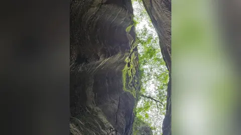 RossiNoleen's photo shows a view looking up through a narrow, rocky canyon or crevice filled with green leaves and trees against a bright sky.