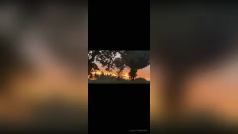 Serene sunset view of silhouetted palm trees against a warm orange twilight sky in a tropical landscape.