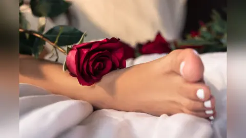 SofyTaylor — Roses in Sofy 🌹
