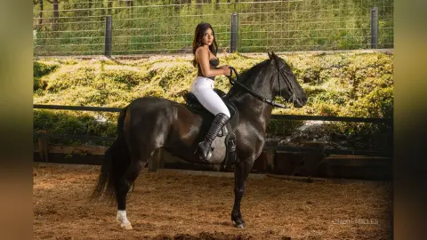 Elegant woman in white pants and riding boots sitting on a dark horse in a sunny outdoor paddock.