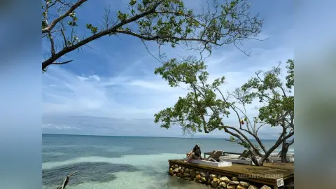 Relaxed woman in swimwear lounging on a wooden pier by the turquoise ocean under leafy green trees.