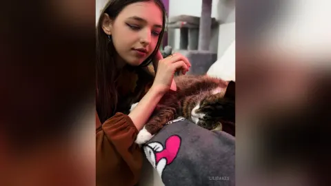 LiliBakes — meow meow 🐈