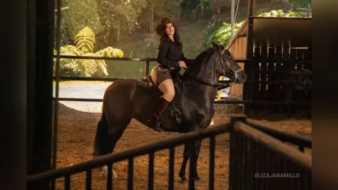 Elegant woman in black riding attire sitting on a dark horse in a rustic stable setting.