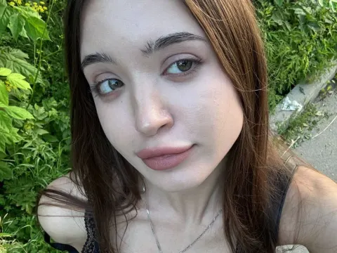 ChandraHankin cam model