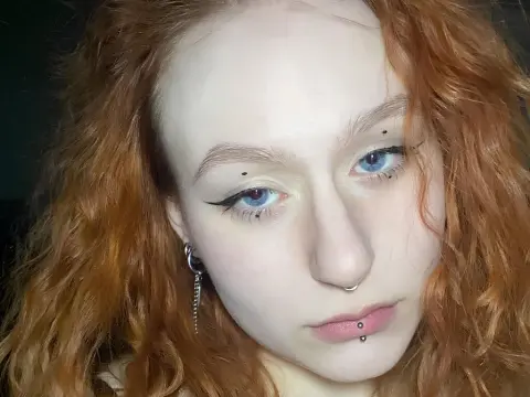 LoiseLevitan cam model