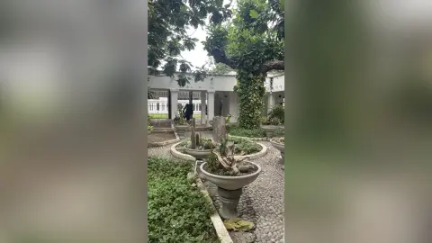 Peaceful courtyard garden with stone planters, lush greenery, and a large tree in a serene outdoor setting.