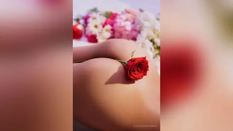 Close-up of a woman's bare skin with a single red rose resting on her hip in a soft, romantic setting.