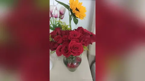 MadisonViolet — Details of Valentine day