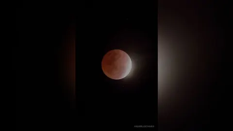AnabelleCharis — Nature