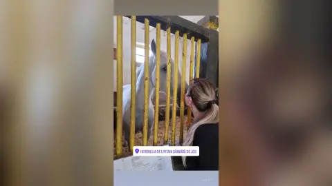 AnneKay — Anne!!