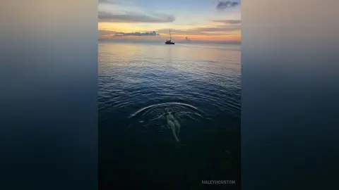 A person swimming in the calm ocean at sunset with a sailboat in the distance under a peaceful sky.