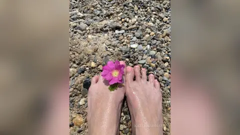 KaterinaRosse — 🌺