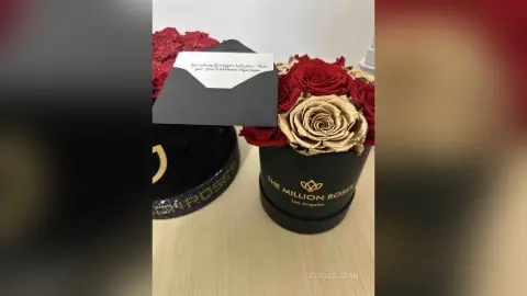 ElyseSuzan — Spoil me from guys🎁