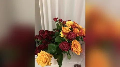 ViktoriaMoore — Beauty days