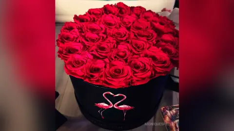 MoniqueSpelll — Mattygoodboy