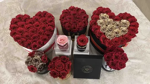 LawrenHills — 🌹🥰