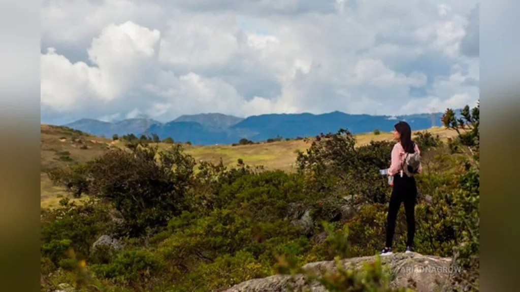 AriadnaGrow — traveling the world