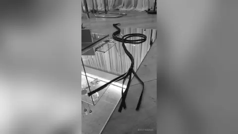 SerafinaDian — The Kink (fetish non-explicit)