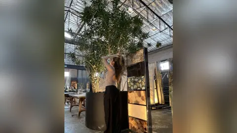 Stylish woman in a white long-sleeve top and black trousers standing by indoor plants in a modern glass atrium.