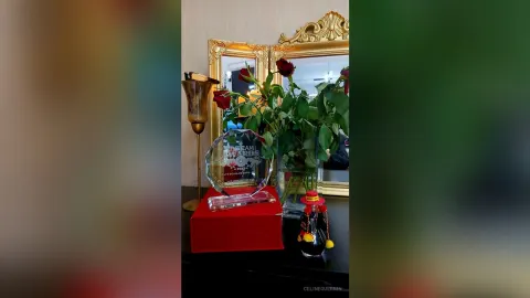 CelineGuerrin — clip artist of the  year