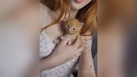RemiLuna — kittens