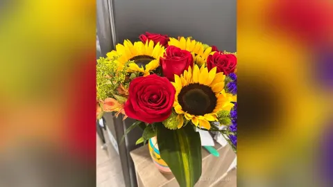 ElettraMilan — elettra