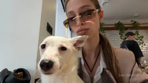 CarlynKernell — Watching the world go by with my dog