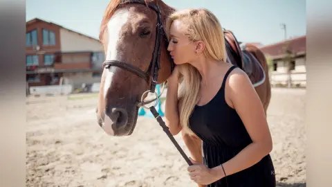 Katelyn — Equitation