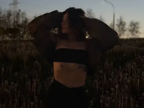 MichelinaBoe cam model
