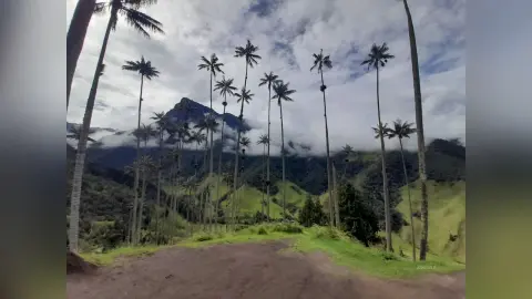 AnneGale — trip SALENTO COCORA