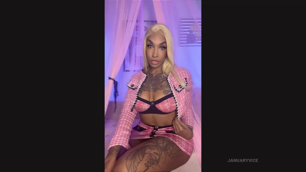JanuaryVice — Classy Pink Set