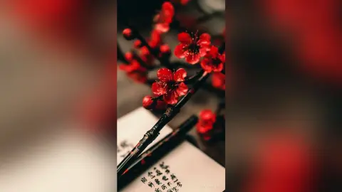 MaraMaison — asia
