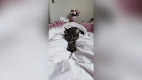 RadianceLana — My favorite Splyushka😸(My pussy)