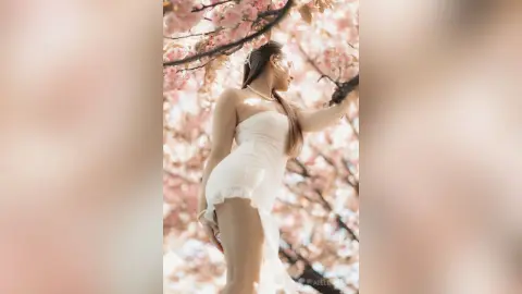 AdelinaKael — Sakura