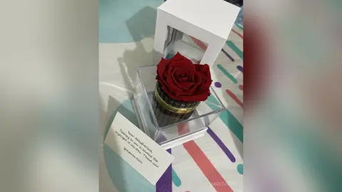 AbbyZarina — My gifts