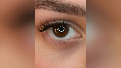 Close-up of a woman's brown eye with long voluminous black eyelash extensions and groomed eyebrows.