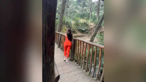 SarayYork — Medellin