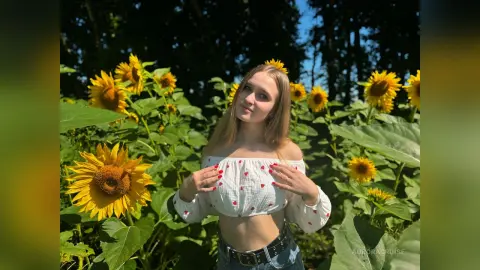 AuroraCruise — Sunflowers
