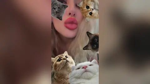 Close-up of a woman with pink lips surrounded by several cute kittens in a playful, cozy mood.