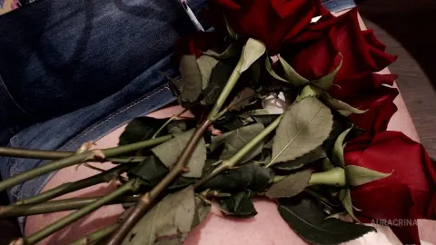 AuraCrina — Red and White Roses (love or passion?:)