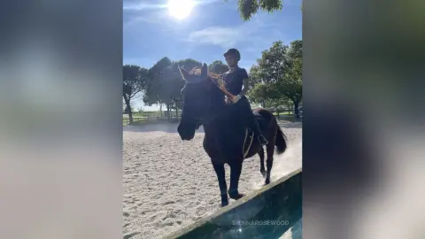 Female equestrian in dark riding gear riding a brown horse in a sunny outdoor sand arena.