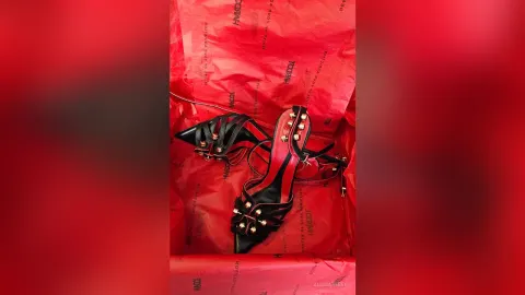 AlissaReeve — My new precious shoes